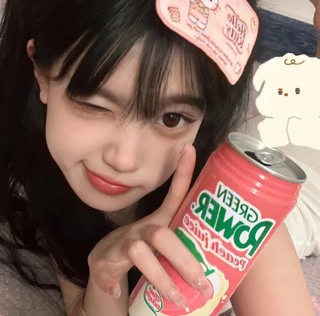 报告王爷，王妃是只猫2